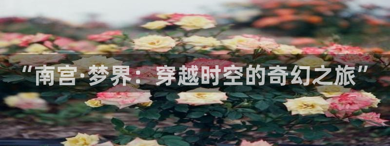 壹号下载官网入口
