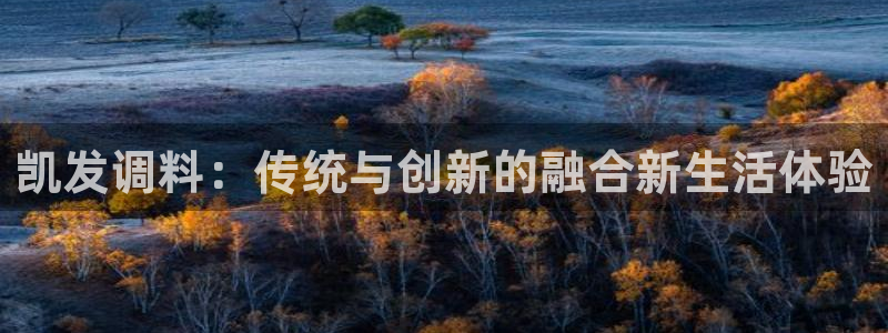 壹号玩家app下载
