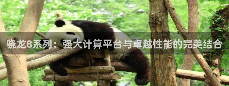 壹号平台下载