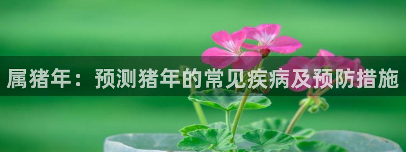壹号top娱乐