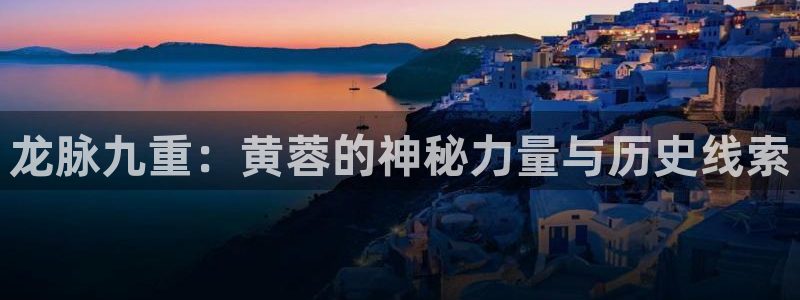 新宝5强制退款流程详解