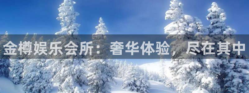 壹号app下载官方网站