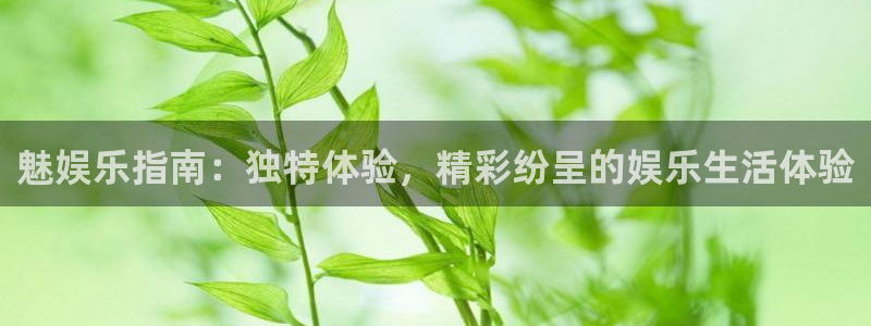 壹号平台娱乐