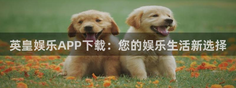 壹号平台下载安装