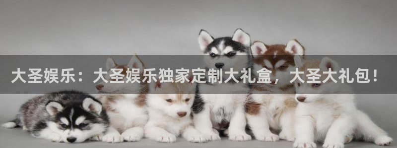新宝5网址