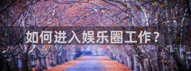 壹号电子娱乐app下载最新版