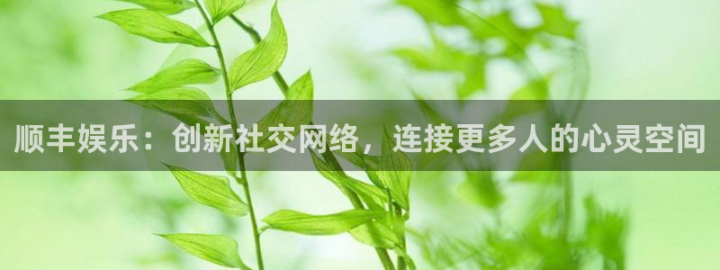 新宝5官网下载