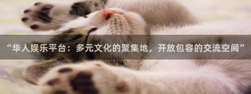 壹号大舞台官网入口
