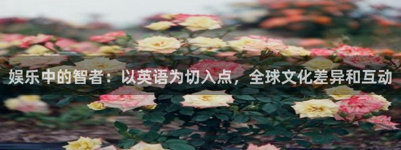 新宝5(com.youad.authst)