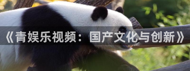 壹号电子娱乐app下载最新版本