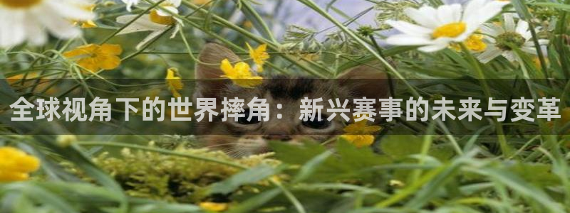 壹号电子娱乐app下载官网