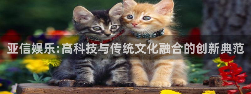 新宝5强制退款流程详解