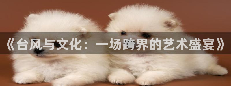 新宝5app最新版怎么下载苹果