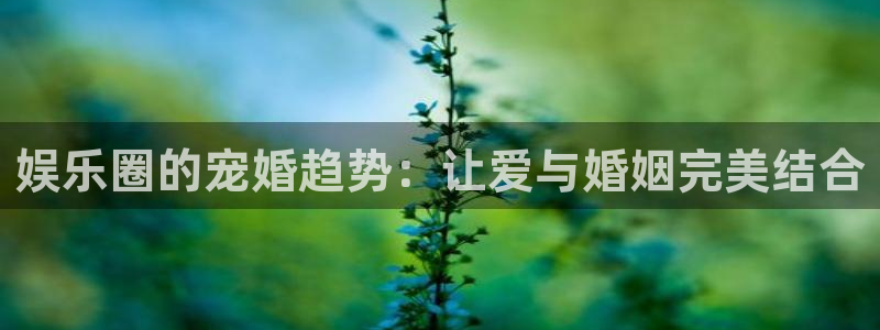新宝5app最新版怎么下载苹果：娱乐圈的宠婚趋势：让爱与婚姻完美结合