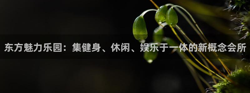 新宝5app：东方魅力乐园：集健身、休闲、娱乐于一体的新概念会所
