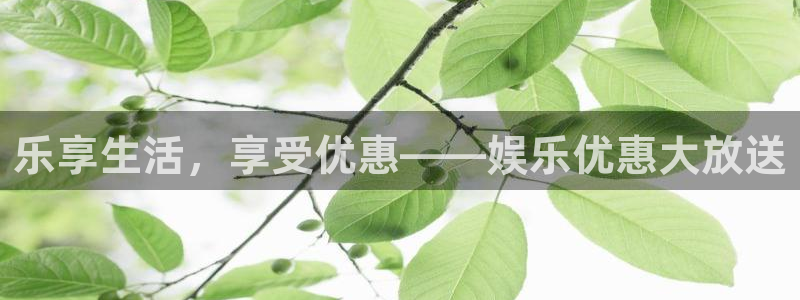 新宝5app网页入口：乐享生活，享受优惠——娱乐优惠大放送