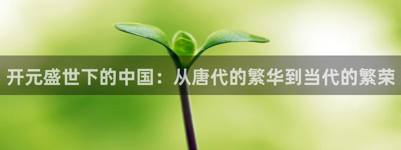 新宝5app：开元盛世下的中国：从唐代的繁华到当代的繁荣