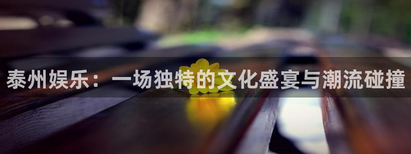 新宝5官方app下载安装：泰州娱乐：一场独特的文化盛宴与潮流碰撞